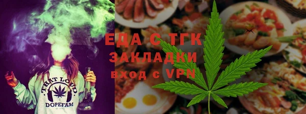 индика Инта