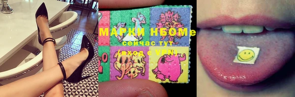 индика Инта