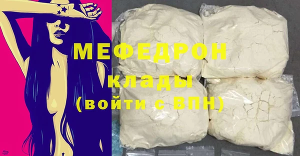 индика Инта