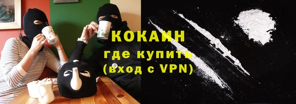 индика Инта
