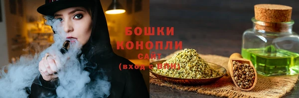 индика Инта