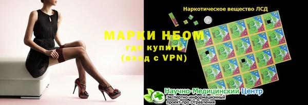 индика Инта