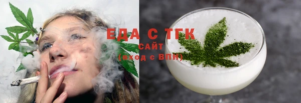 индика Инта