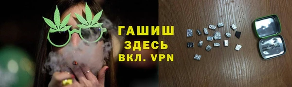 индика Инта