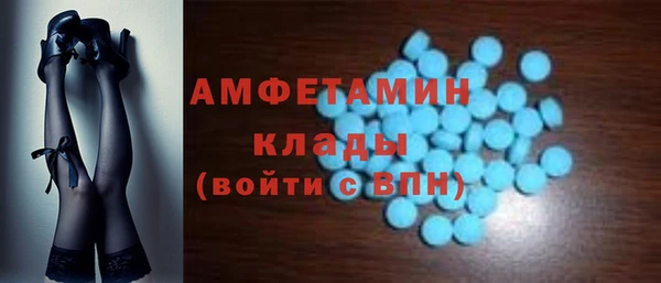 индика Инта