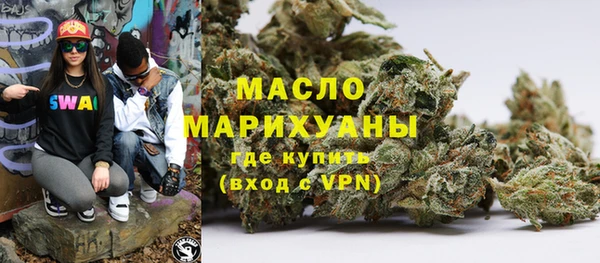 индика Инта