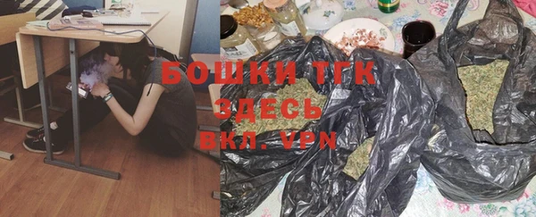 индика Инта