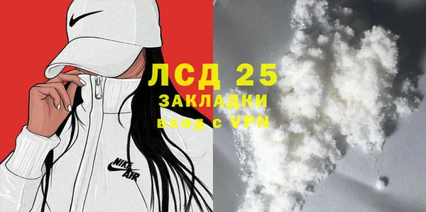 индика Инта