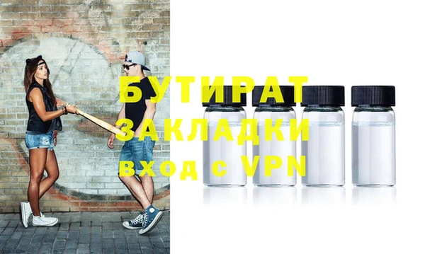 индика Инта