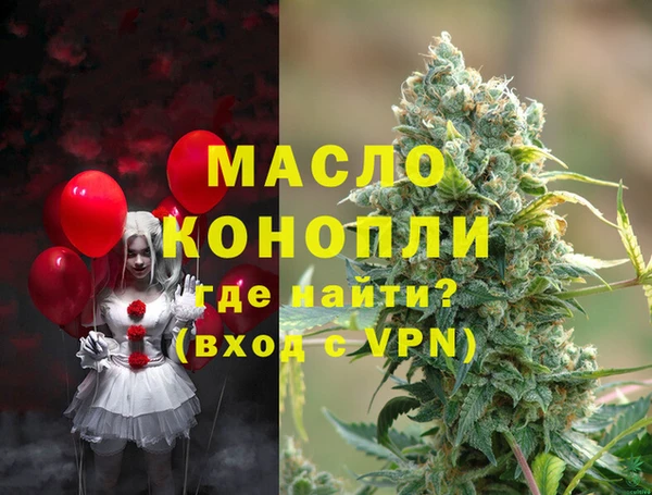 индика Инта