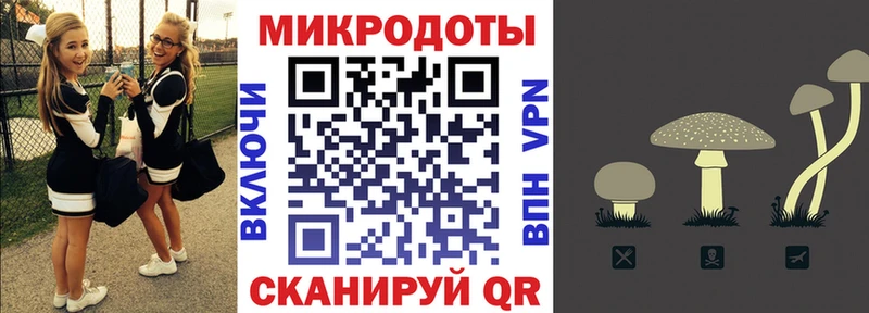 Галлюциногенные грибы Cubensis  Купить  Полысаево 