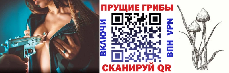 Псилоцибиновые грибы MAGIC MUSHROOMS Полысаево